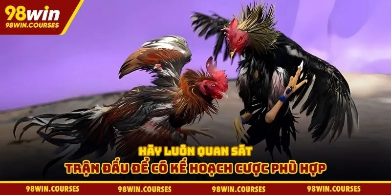 Hãy luôn quan sát trận đấu để có kế hoạch cược phù hợp