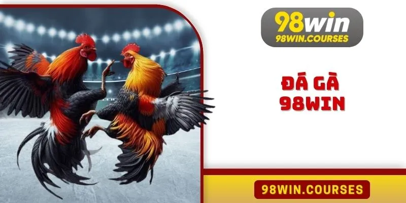 Đá Gà 98WIN - Nơi Người Chơi Thỏa Sức Đam Mê Không Nên Bỏ Qua
