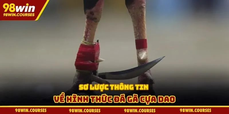 Sơ lược thông tin về hình thức đá gà cựa dao
