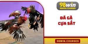 Đá Gà Cựa Sắt