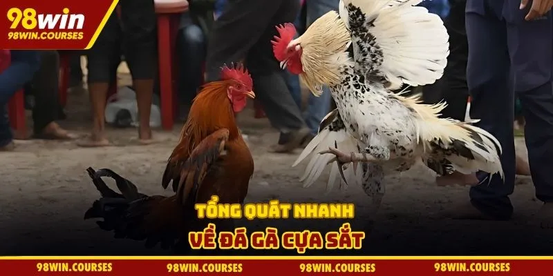 Tổng quát nhanh về đá gà cựa sắt
