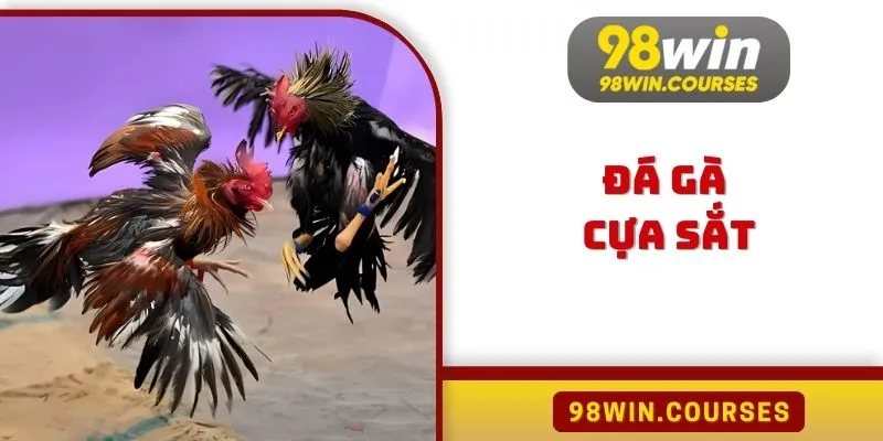 Đá Gà Cựa Sắt