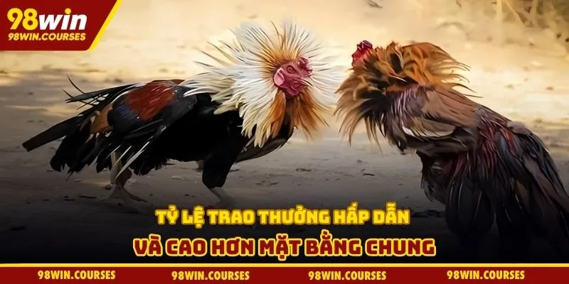 Tỷ lệ trao thưởng hấp dẫn và cao hơn mặt bằng chung