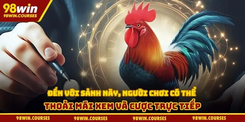 Đến với sảnh này, người chơi có thể thoải mái xem và cược trực tiếp